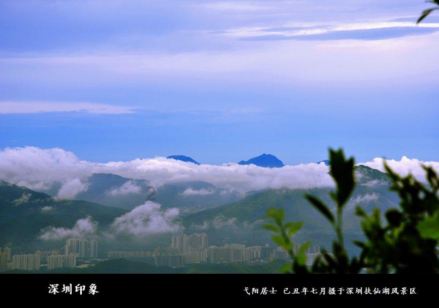 寻找萌小老虎